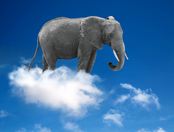 Elephant on a cloud